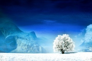 世界短道速滑科研示范区线上数据共享平台扩容，世界短道速滑世锦赛