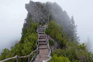 世界短道速滑教练能力提升计划：区域教练获集中培训支持，世界短道速滑视频
