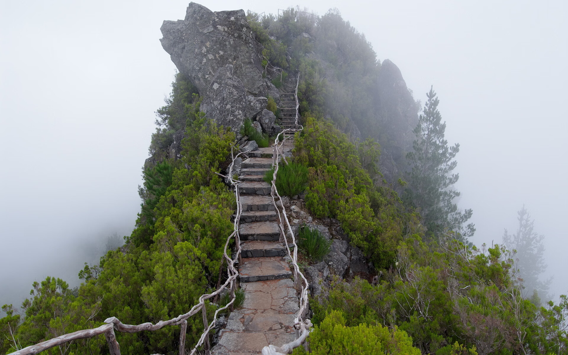 世界短道速滑教练能力提升计划：区域教练获集中培训支持，世界短道速滑视频